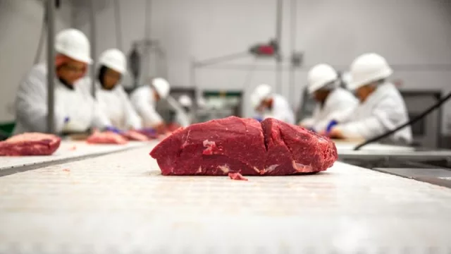 Exportaciones cárnicas paraguayas registran el mejor primer trimestre de los últimos 5 años