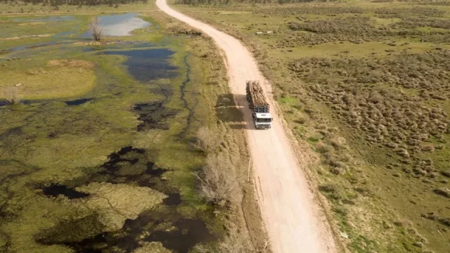 UPM Forestal Oriental pone el foco en los caminos forestales