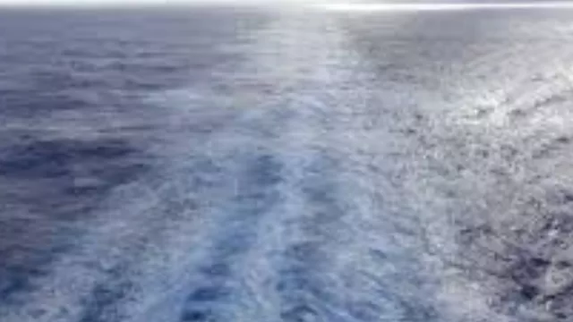 ¡Universitarios, a bordo! (el crucero académico de la Universidad Católica)