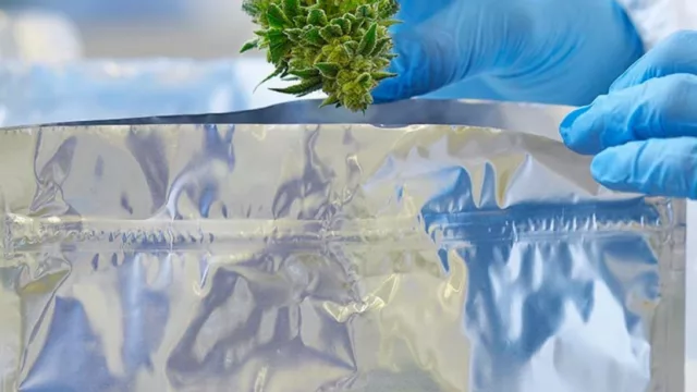 Cannabis medicinal por el mundo (primer envío a EE.UU.)