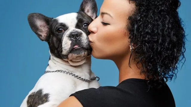 Un veterinario especialista para tu mascota desde cualquier lugar (arranca en abril VetCase)