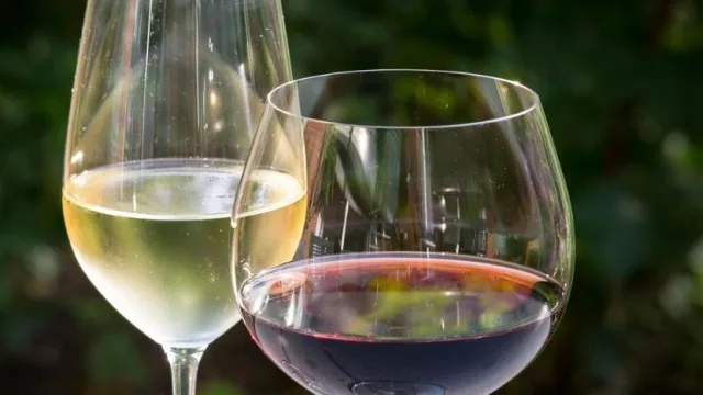 Salón del vino en el Enjoy Punta del Este 