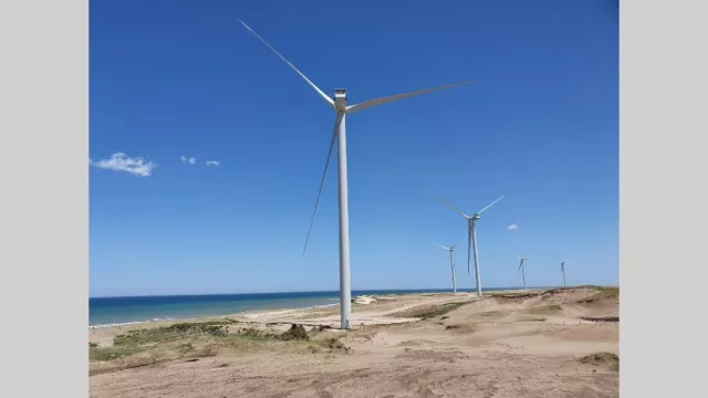 Genneia recibió u$s 51 millones para reactivar la construcción de un parque eólico