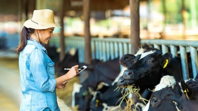 Cada vez más jóvenes paraguayos optan por carreras agropecuarias (más de 2.000 se matriculan al año)