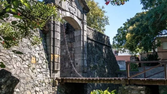 Bajo movimiento hotelero en Colonia