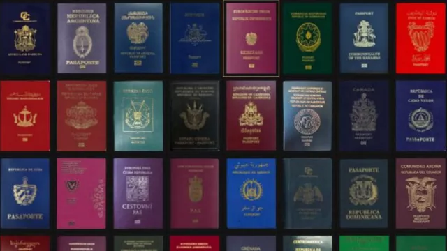 Hablemos de tu árbol genealógico ¿De dónde vinieron tus abuelos? ¿Te contaron historias de sus países?