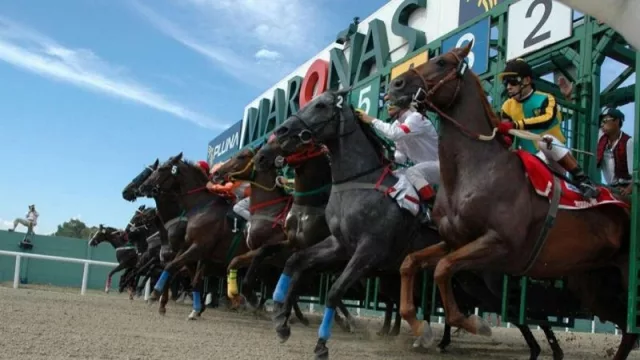 Resultados de Encuesta Anterior