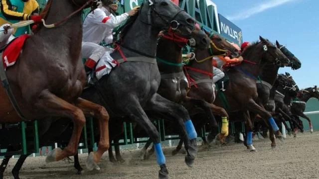 El evento del turf demandará una inversión de US$ 400.000