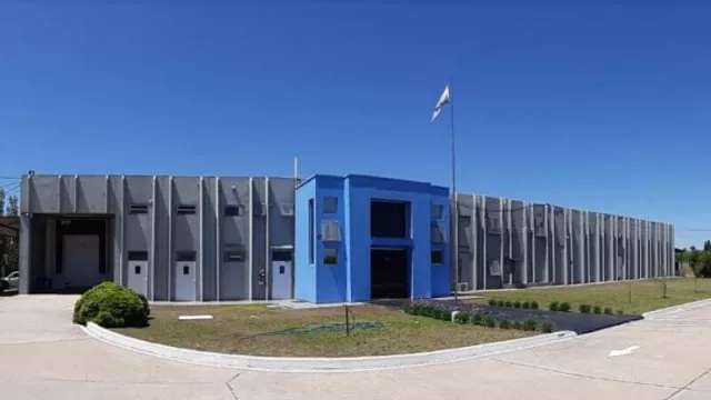 Alican (Sieger) produce alimentos húmedos para que perros y gatos se den “un gustito” (y comienza a exportar)