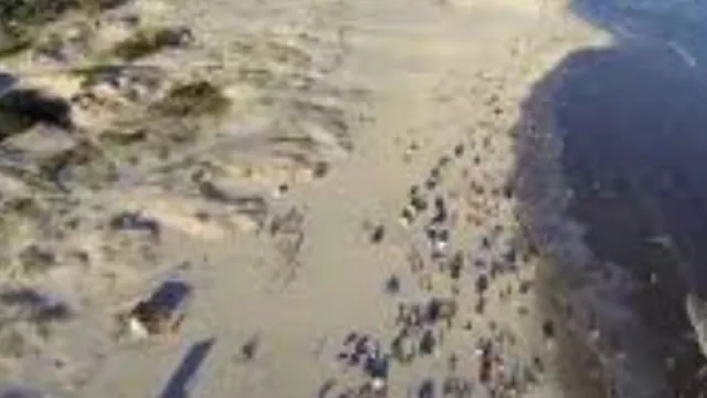  Menú económico de Canelones a $480 para promocionar el turismo  