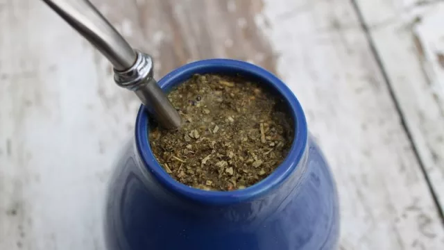 Hito yerbatero: por primera vez Paraguay será sede del Congreso Sudamericano de Yerba Mate