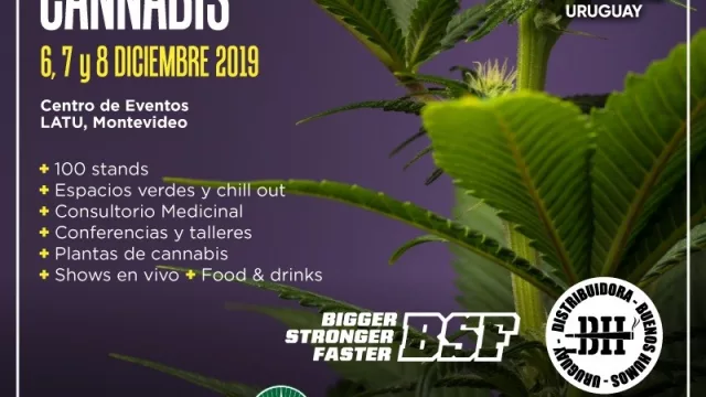 ExpoCannabis arranca en el LATU ¿te esperan?
