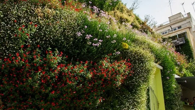 Ecosistemas verticales, mucho más que jardines