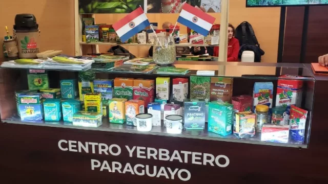 El oro verde: cómo la yerba mate acaparó la atención de empresarios de todo el mundo