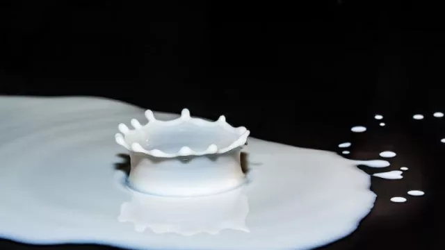 Consumo de lácteos nacionales cayó 5% (proponen limitar importación)