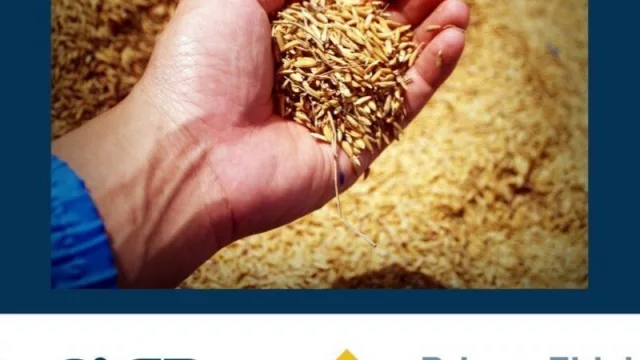 Sistema de garantías a pymes y sus US$ 500 millones