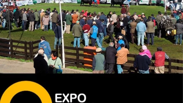 Enterate cuánto cuesta un stand en Expo Prado 