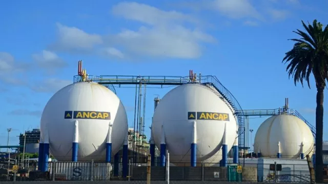 Ancap presentó su balance semestral: el portland sigue dando pérdidas 