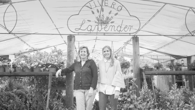 Lavender Tea Room: dos familiares que se dividen un mismo negocio 