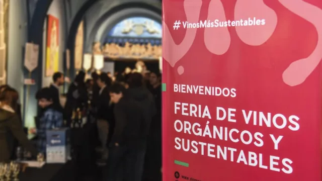 Orgánicos y biodinámicos: los vinos que están cambiando el mercado