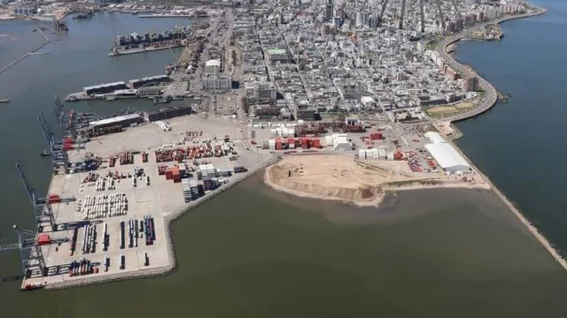 Gracias a la soja, las exportaciones uruguayas crecieron un 20% en julio