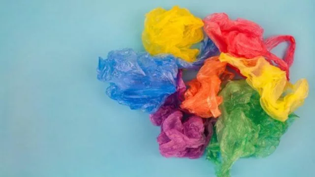 Hecha la ley… chau bolsitas (disminuyó 80 % su consumo en 15 días)