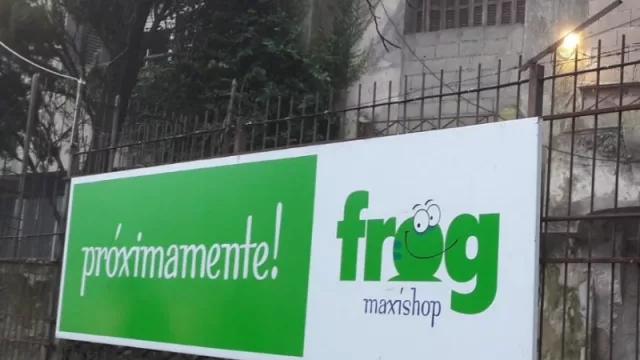 Aparece un nuevo sapito en la zona de Pocitos