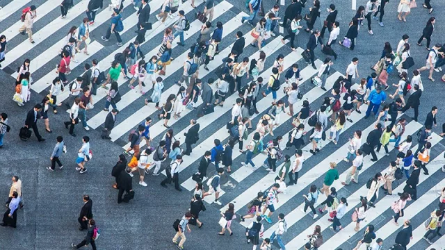 Elecciones 2019: plebiscito y referéndum