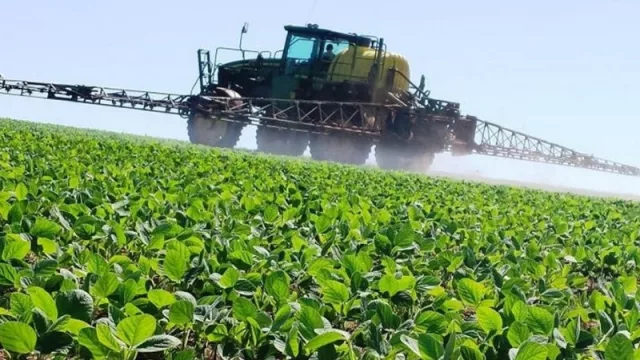 Los agroquímicos y la apicultura: “se necesitan medidas de mitigación”, según Canaffi