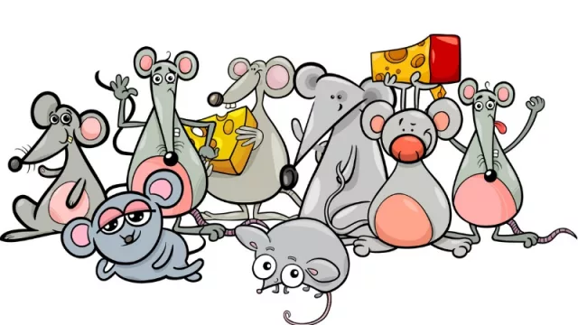 Informe de la CACE: los cordobeses son los más “ratones” de Argentina (priorizan siempre precio)