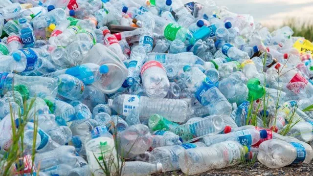 Panda lanzó en Colonia su programa de gestión de residuos