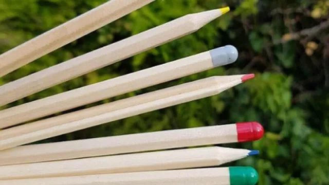 ¡Ahora podés plantar un lápiz y obtener una zanahoria!