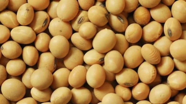 Egipto y Bangladesh comenzaron a comprar soja uruguaya