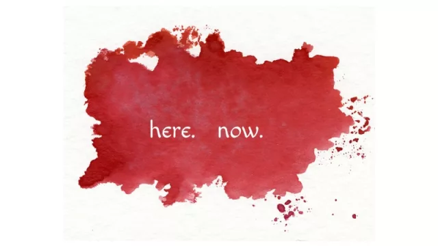 Resultados de encuesta anterior