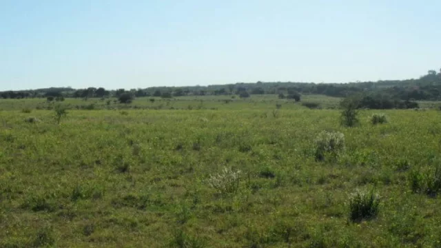 La nueva apuesta del mercado inmobiliario coloniense