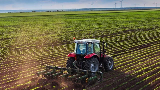 Uruguay procura ampliar mercados de exportación  