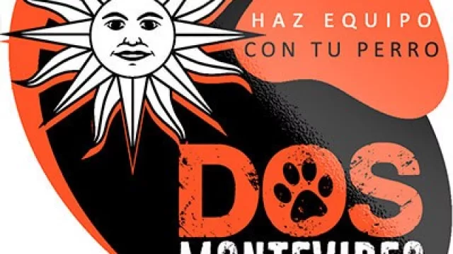  Un cachorro educado te puede costar $ 14.000 