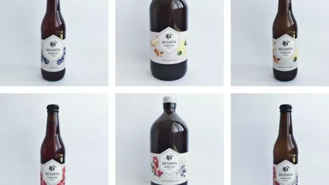 Bendita Kombucha: la bebida que te ayuda a conseguir tu equilibrio natural  