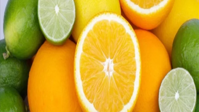 Inversión de US$ 40 millones en la citricultura uruguaya 