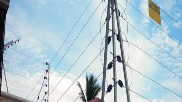 El negocio detrás de la inseguridad del país