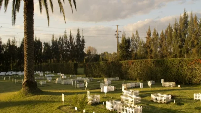 El Jardín de las Mascotas te propone el último adiós por $ 4.400