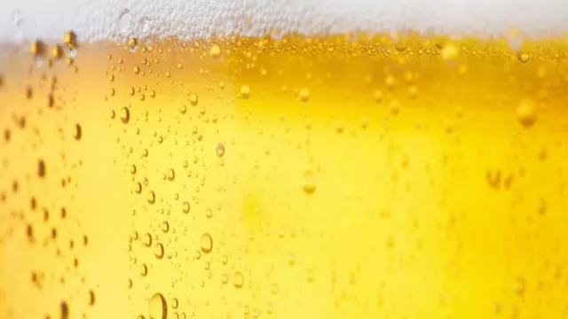 El verdadero maestro cervecero te ayuda con solo $ 7.200