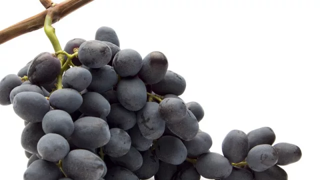 Vino desde Uruguay al mundo