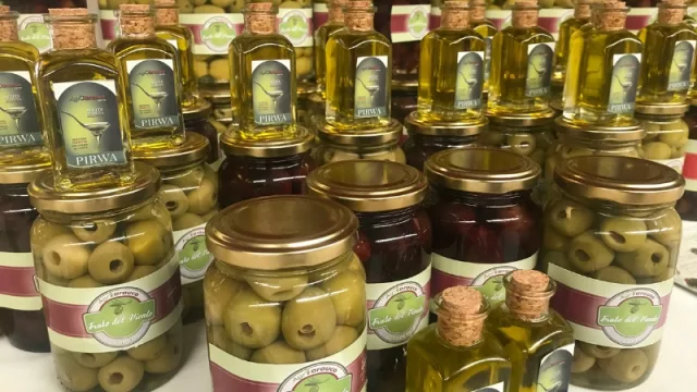 Argentina tendrá otra Ruta del Olivo y será en La Rioja (principal productor y exportador del país)