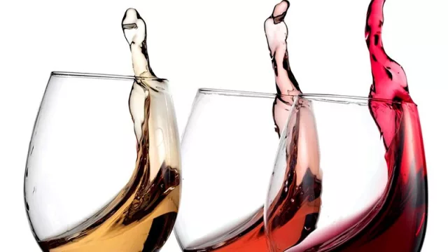 Bulgheroni trae Brisas llenas de dólares (una bodega de US$ 15 millones)