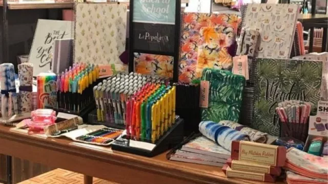 La Papelaria nació con libretas y ahora conquista Latam (se vienen las franquicias)