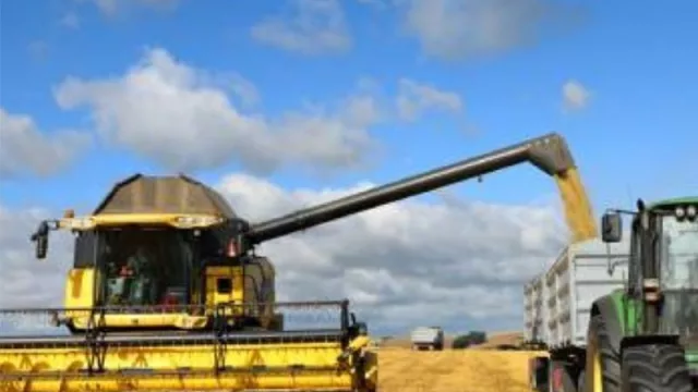 Compradores internacionales del sector agroindustrial visitarán Uruguay