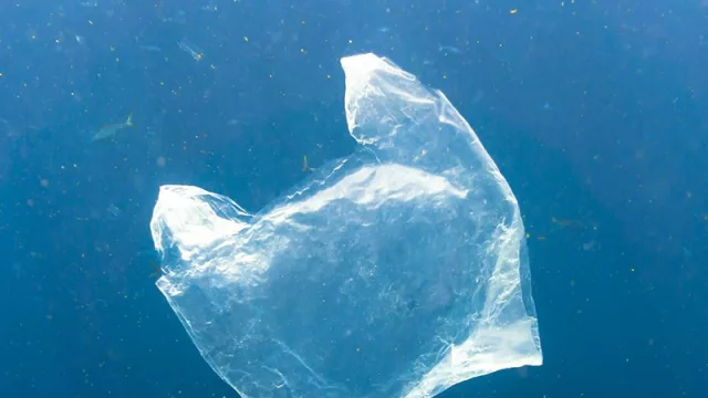 Bolsas plásticas: ¿qué medidas se tomaron para mitigar su impacto ambiental?