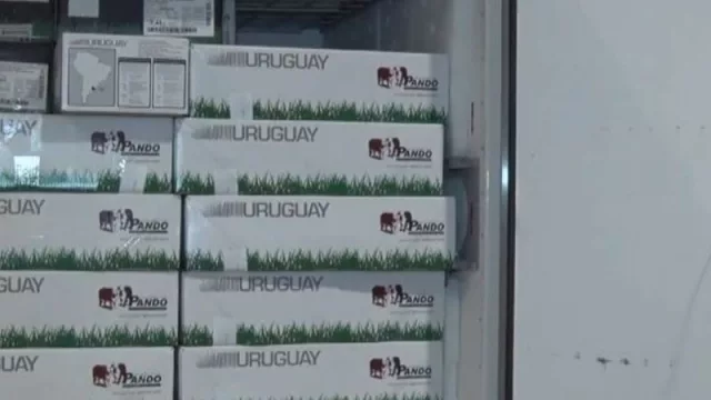 ¡Buen viaje! Se fueron los primeros 4 contenedores de carne vacuna uruguaya a Japón 