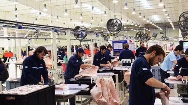 La industria cayó 2.9% en comparación a 2017 (IVF)